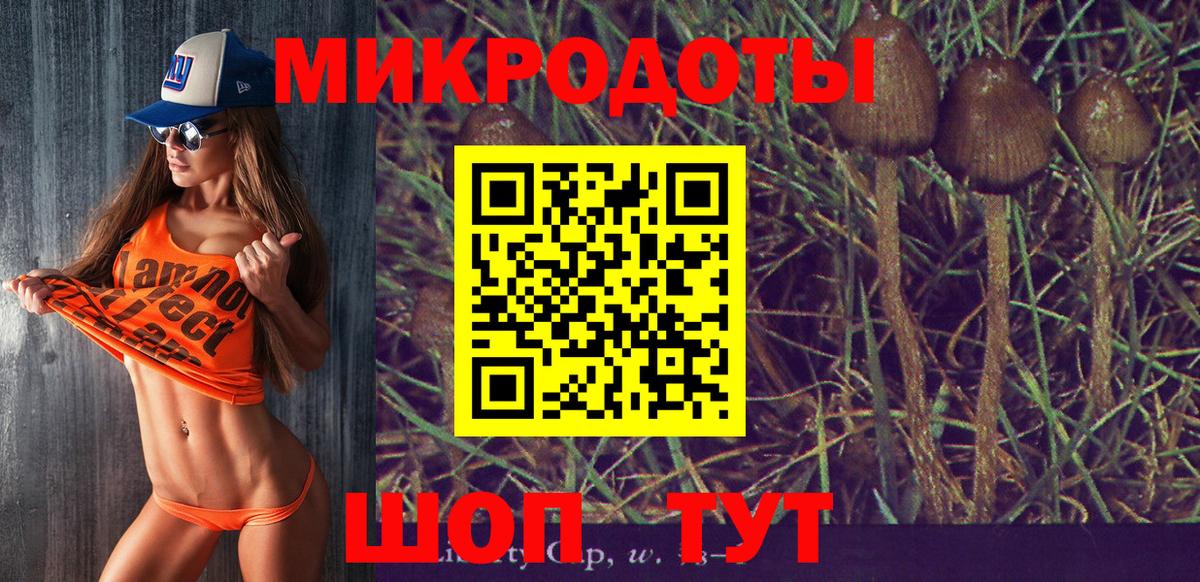 Псилоцибиновые грибы Psilocybine cubensis Владивосток