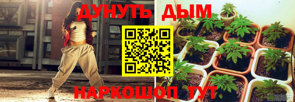 Бошки марихуана семена  Вход с VPN  Марихуана White Widow  Конопля AK-47  Владивосток  Бошки марихуана Ganja 